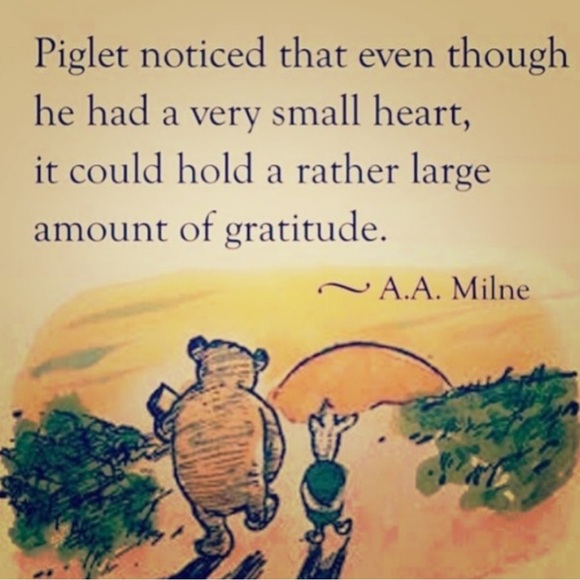 โ๏ธ CHADWICKS PLUNGING V-NECK SWEATER vintage BLACKISHGray. Sz M/Lg - Picture 6 of 16